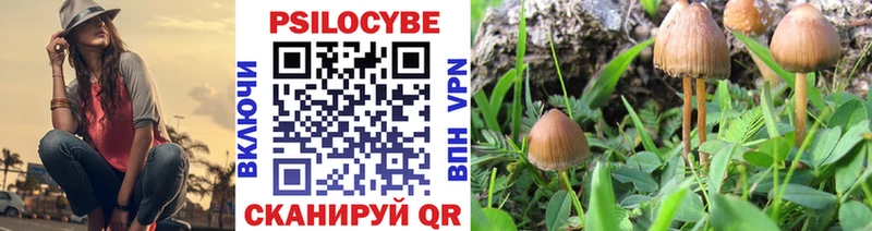 Галлюциногенные грибы Psilocybe  Купить закладки  Нижний Ломов 